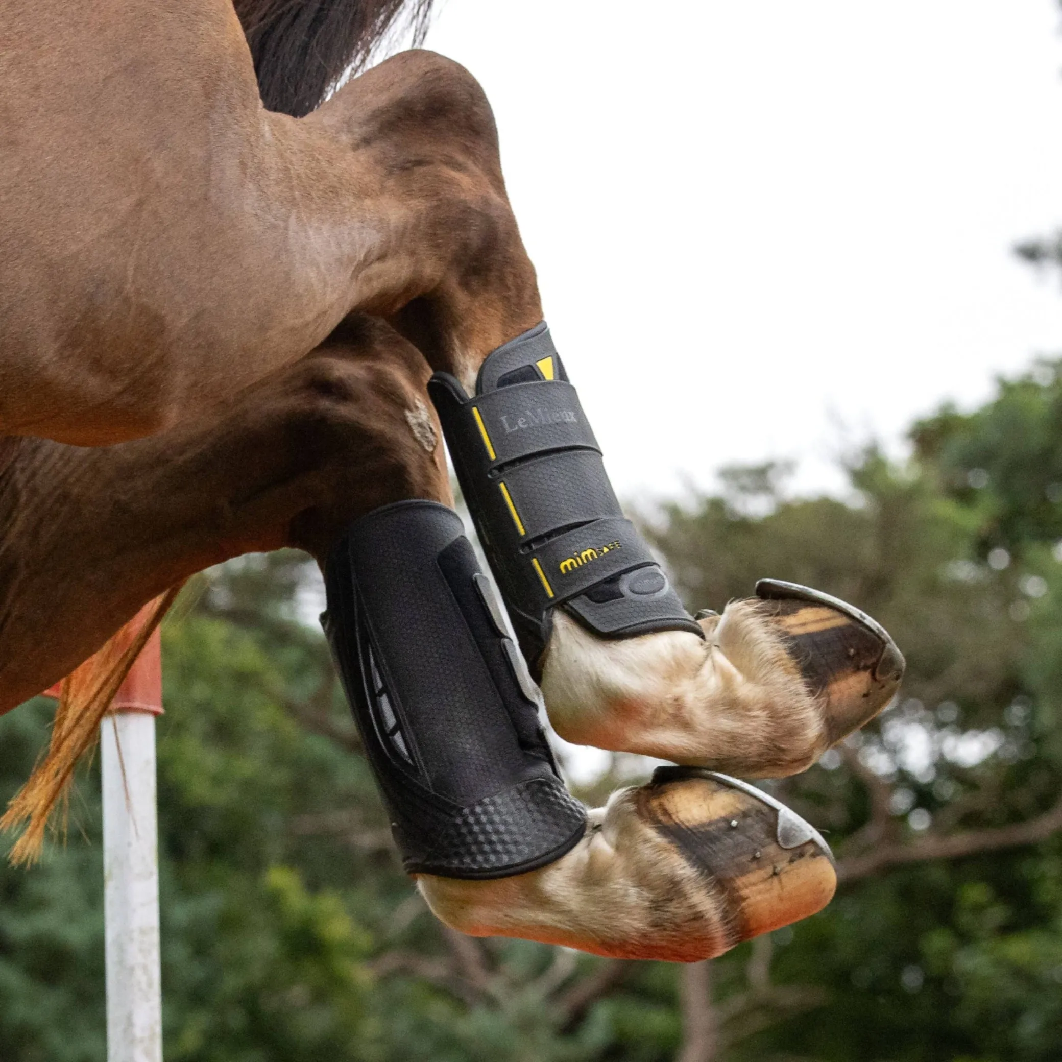 LeMieux Mimsafe Cross Country Hind Boots