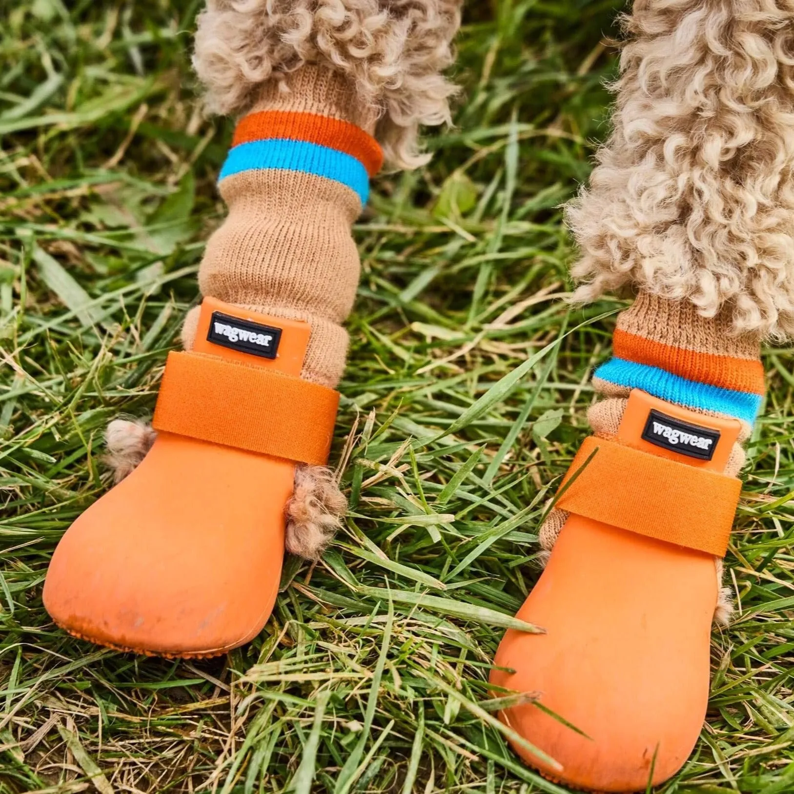 WagWellies® by wagwear